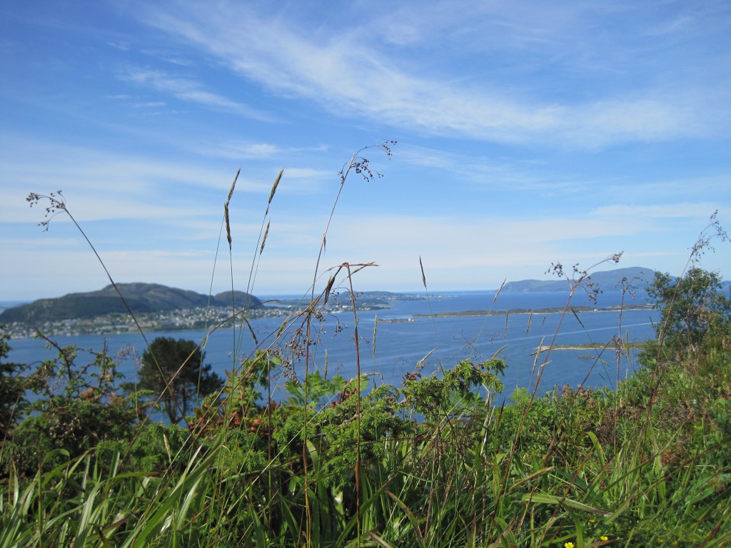 20110708-Norwegen854