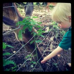 Heute auf dem Programm: